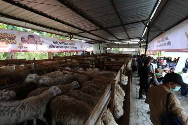 ACT DIY Distribusikan 1.000 Hewan Kurban ke Seluruh Pelosok DIY
