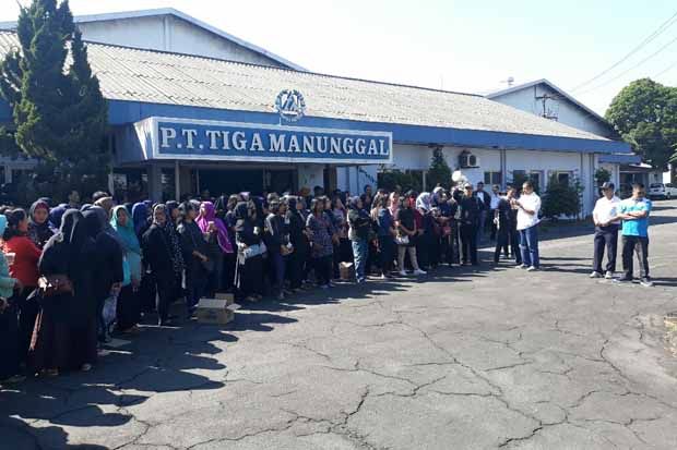 Ratusan Eks Karyawan  PT Timatex  Demo Tuntut Pesangon