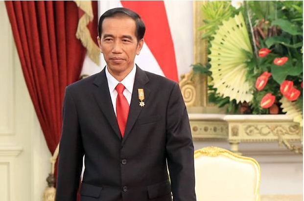 Tahun Depan Jokowi Bangun Istana Presiden di Papua