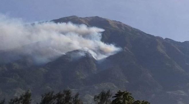 Api Lahap 150 Hektare Lahan di Gunung Merbabu