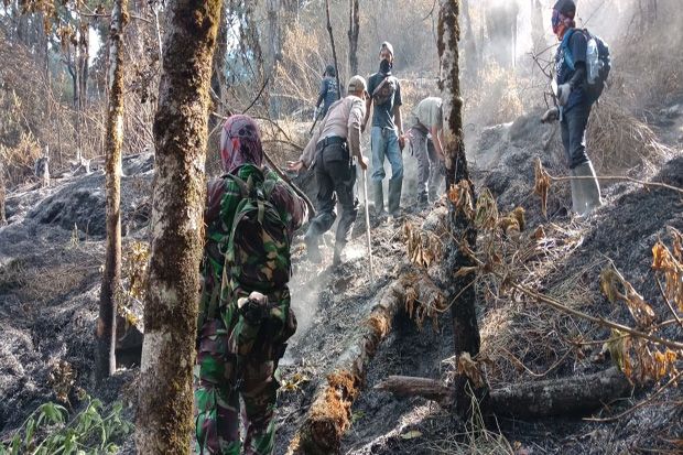 Hutan Gunung Sumbing yang Terbakar Mencapai 24 Hektare