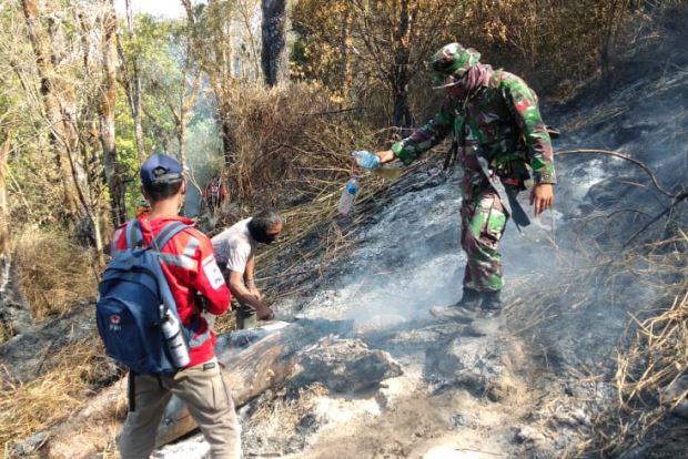 Ratusan Personel Sisir Dua Jalur, Padamkan Kebakaran Hutan Gunung Sumbing,