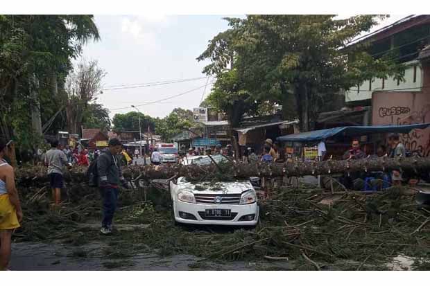 Tertimpa Pohon Tumbang, Mobil Ringsek, Pengemudi Terluka