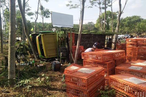 Rem Blong, Truk Bermuatan Ayam Terguling di JLS Salatiga