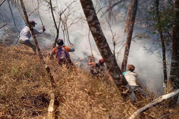 Kebakaran Hutan Gunung Sumbing Meluas, 16 Hektare Ludes Dilalap Api