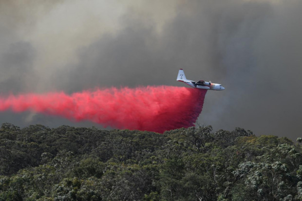 Di Australia Bagian Timur dan Barat, Kebakaran Semakin Hebat