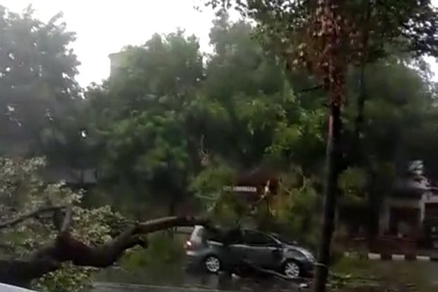 Pohon Tumbang Diterjang Hujan Angin, Timpa Mobil dan Ganggu Perjalanan KA