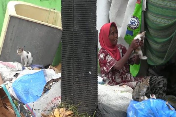 Nenek 79 Tahun di Ungaran Rela Tinggal di Tempat Sampah demi Kucing