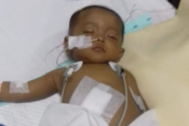 Bayi di Semarang Harus Jalani Transplantasi Hati, Butuh Biaya Rp1 Miliar