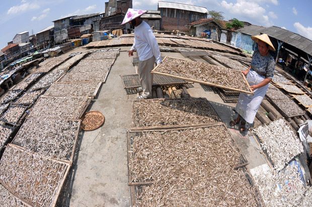 Cuaca Ekstrem, 80% Nelayan di Jawa Tengah Tak Berani Melaut