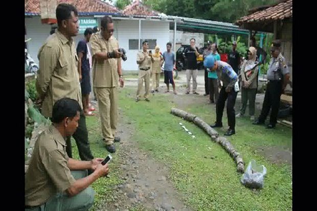 Gempar, Gading Gajah Berusia 700 Tahun Ditemukan di Bonagung Sragen