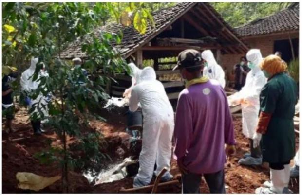 Update: 30 Warga Kabupaten Gunungkidul Terpapar Antraks