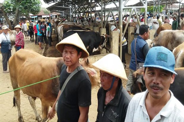 DPRD Desak Pemkab Gunungkidul Tutup Sementara Pasar Hewan