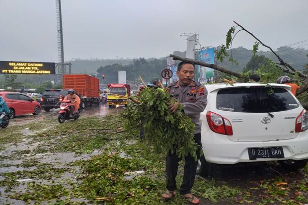 Hujan Deras, Pohon Tumbang Timpa Mobil Ayla di Bawen Semarang