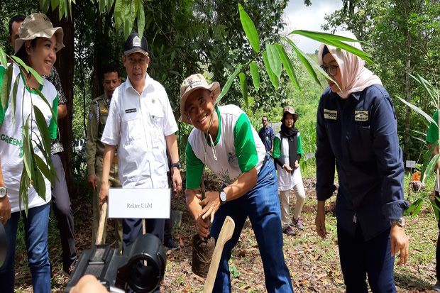 UGM - PT Taspen Kembangkan Bambu Petung di Wanagama Gunungkidul