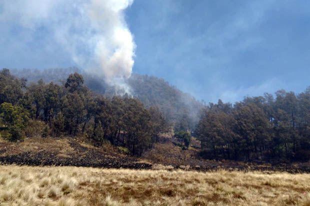Api Merembet, Membakar Hutan di Tebing Gunung Butak