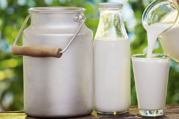 Fresh Milk Lebih Sehat dan Dianjurkan Diminum Tiap Hari