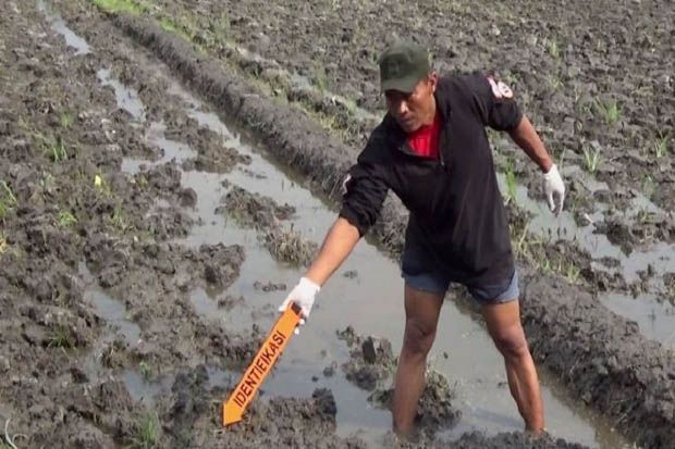 Petani Manula di Mojokerto Ditemukan Tewas di Areal Persawahan