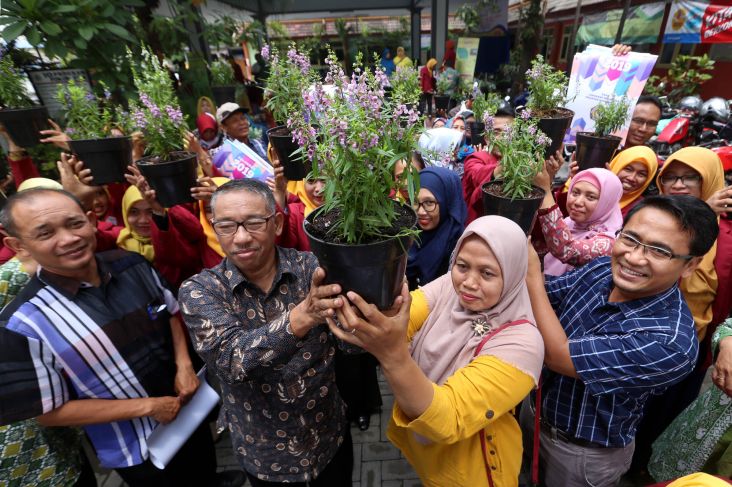 Cegah Wabah Demam Berdarah, Mahasiswa UM Surabaya Tebar Lavender