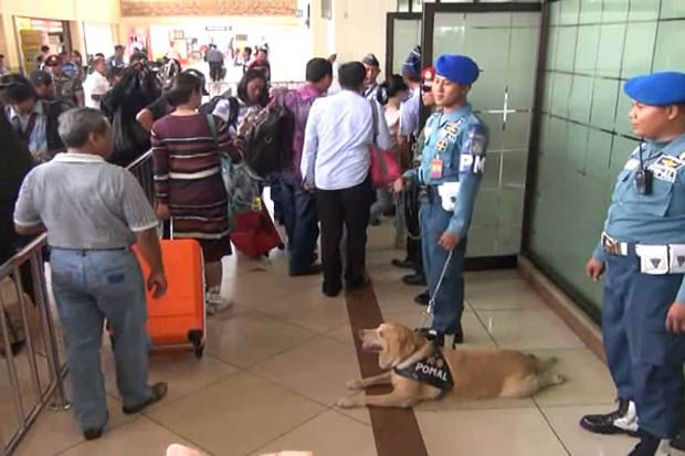 Selundupkan 3.656 Baby Lobster, EK Ditangkap di Bandara Juanda
