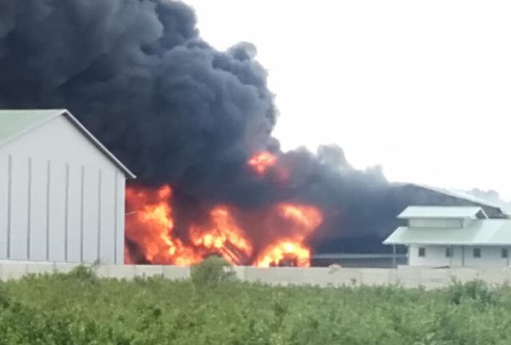 Pabrik Peralatan Rumah Tangga di KIM Gresik Terbakar
