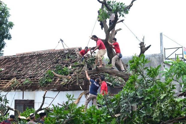Sebanyak 61 Rumah di Probolinggo Rusak Diterjang Angin Puting Beliung
