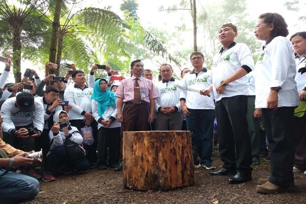 Hutan di Jawa Timur Memiliki Nilai Ekonomis Tinggi