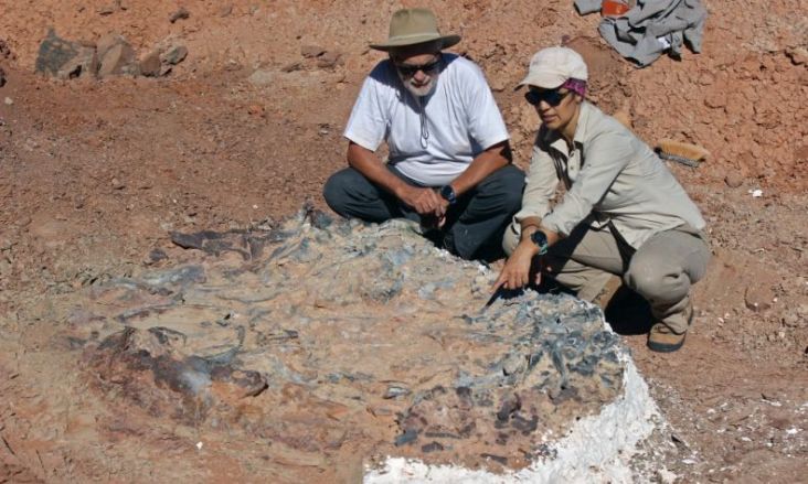Ditemukan 8 Fosil Dinosaurus Berusia 220 Juta Tahun di Argentina