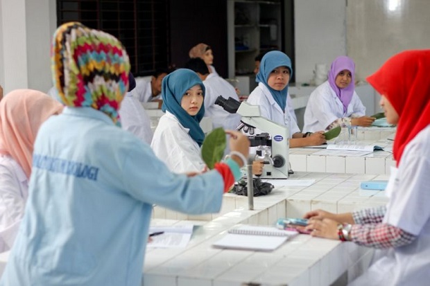 Pendidikan Biologi FKIP UMM Terbaik se-Indonesia Versi SINTA