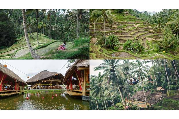 Kawasan Ubud Bakal Jadi Destinasi Wisata Gastronomi Pertama di Dunia