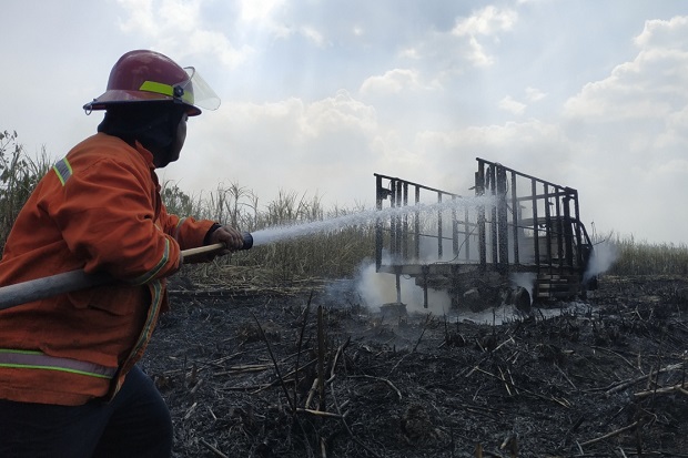 Truk Terbakar di Ladang Tebu, Sopir Nyaris Terpanggang