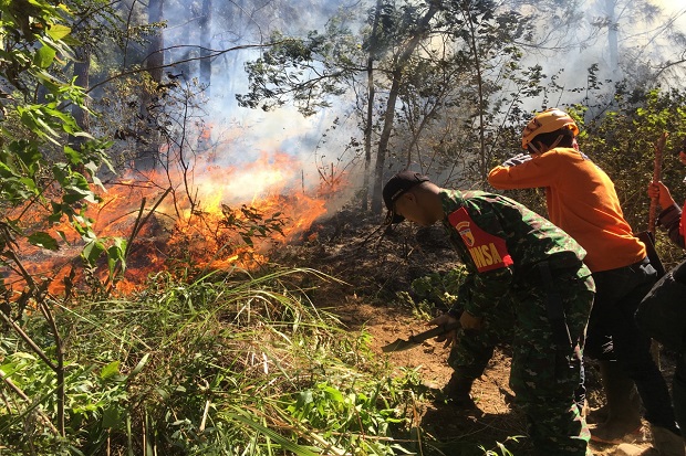 Titik Api Masih Menyala di Hutan Lereng Gunung Panderman