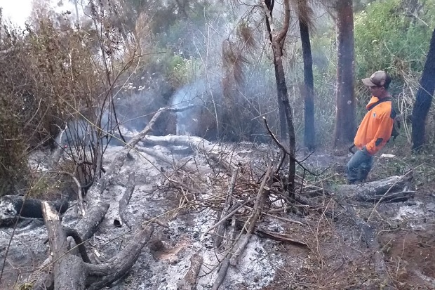 TRC BPBD Kota Batu Masih Menyisir Titik Api di Gunung Panderman