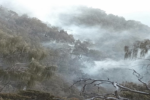 70 Hektar Hutan Konservasi di Lereng Arjuna Terbakar