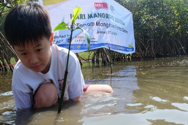 ACT dan MRI Ajak Masyarakat Jember Peringati Hari Mangrove Sedunia