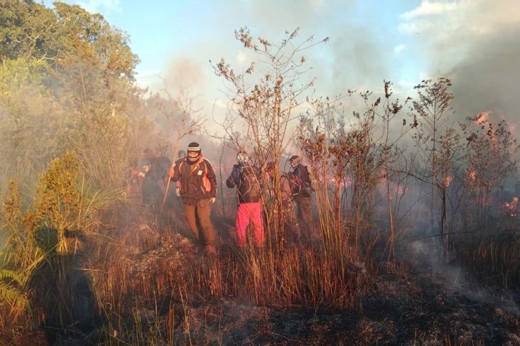 Kebakaran Gunung Welirang Hanguskan 210 Hektar Lahan