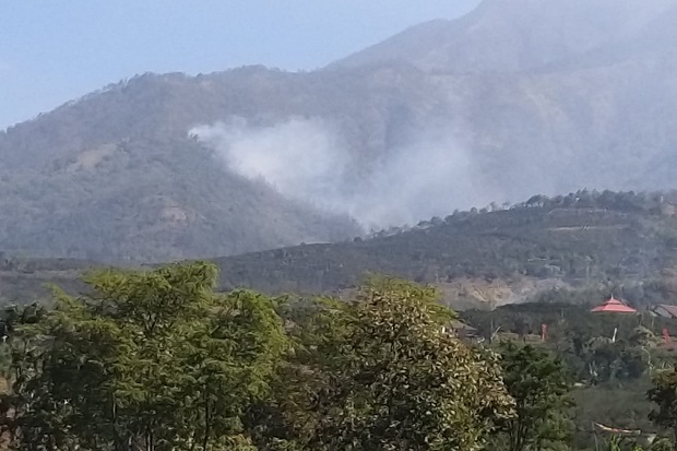 Titik Api Kembali Muncul di Lereng Selatan Panderman