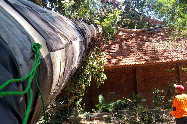 Pohon Tumbang Hancurkan Food Court di Petirtaan Jolotundo