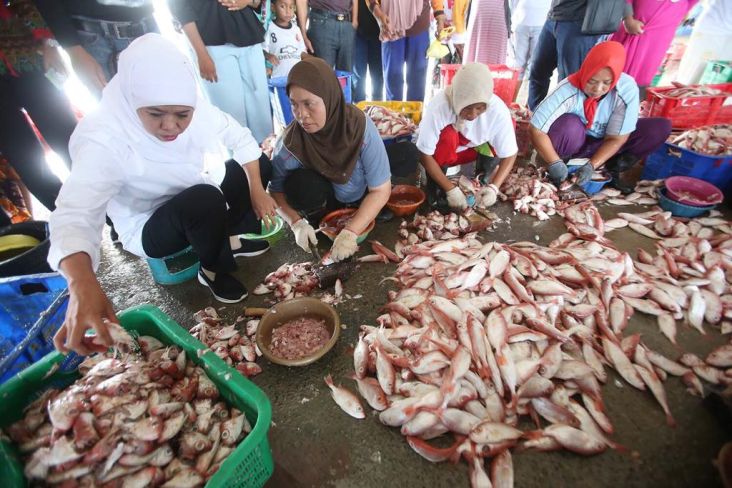 Nelayan Jatim akan Dikenalkan Teknologi Pendeteksi Ikan
