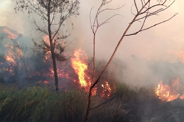 Pipa Sumber Air Sepanjang 3 Km di Lereng Gunung Merbabu Terbakar