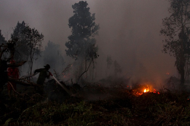 DPR Desak Pemerintah Ungkap Nama Perusahaan Pembakar Hutan
