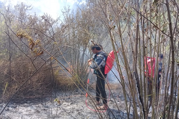 Hutan Seluas 97,3 Hektar di Lereng Gunung Semeru Terbakar