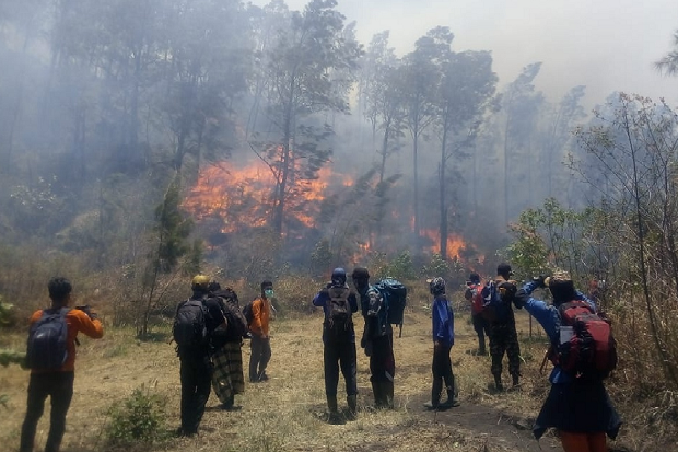 Pemburu Liar Penyebab Kebakaran Hutan Gunung Welirang
