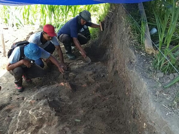 Struktur Batu Bata Diduga Pintu Masuk Candi Gedog Blitar Ditemukan