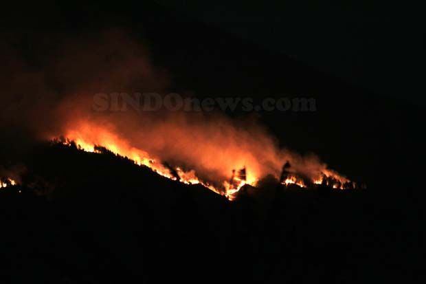 Kobaran Api Melalap Kawasan Hutan Lereng Gunung Arjuno