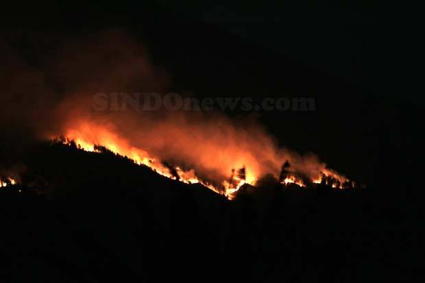 Angin Kencang, Halangi Pemadaman Kebakaran di Gunung Arjuno