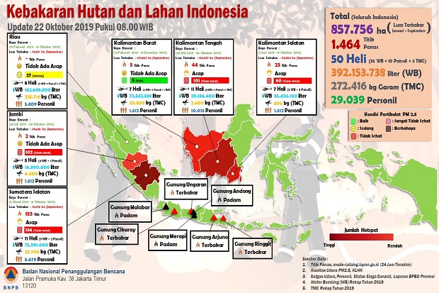 9 Bulan, 857 Ribu Hektar Lahan dan Hutan di Indonesia Terbakar