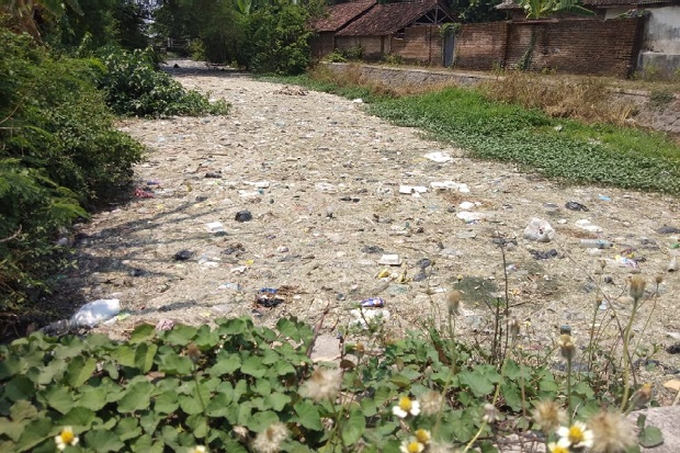 11 Tahun Sungai di Mojokerto Tercemar Limbah Pengolahan Usus