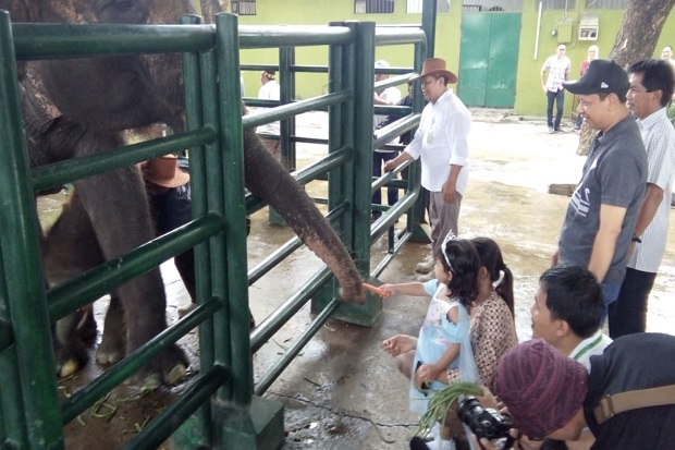 Libur Natal, Risma Ajak Cucunya Jalan-jalan ke KBS Lihat Bayi Dumbo