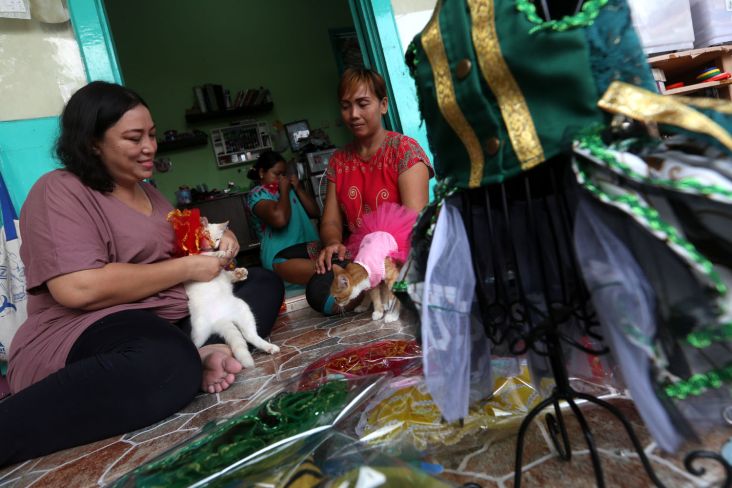 Emak-emak di Surabaya Ini Geluti Bisnis Kostum Kucing